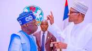 Da Dumi-Ɗumi: Gwamnatin Buhari Ta Ayyana Hutun Kwana 1 Saboda Bikin Rantsar da Tinubu