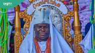 “For public use”, Ooni announces creation of hospital, video trends