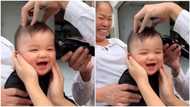 Baby keeps laughing as barber gives him haircut, funny video amazes people, 'breaks' the internet