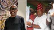 Osun guber: Peter Obi goes personal on Adeleke's victory, tells Obidients next step to take