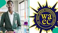 WAEC 2024: Nigerian student misses out on scholarship due to strict rules despite having 7As