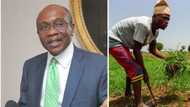 CBN raise concerns famers are not repaying loans, as they believe it is their own cut of the ‘national cake'