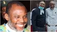Explainer: Why appeal court declared Nnamdi Kanu discharged, acquitted