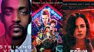 A list of the best shows on Netflix to watch in 2019