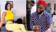 Davido's London show: Hell no, I'm not attending, James Brown blows hot, says singer blocked him for no reason