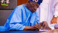 Analysts projects more borrowing cost for government amid increasing debt stock