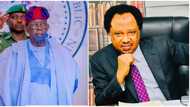 Shehu Sani predicts what may happen if court sacks President Tinubu