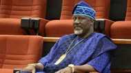 Bidiyon Dino Melaye yana kwasar rawar wakar kungiyar maza marowata