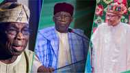 Ana neman Obasanjo, IBB, Buhari, Jonathan su hadu, su kifar da Tinubu a 2027