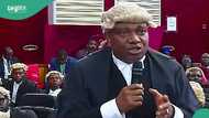 “You can’t interrupt judgment”: Drama as tribunal shut down APC’s lawyer who complained after 8 hours