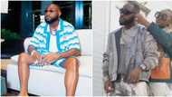 "He go use my wife wound us": Davido proudly praises Chioma's culinary skills, talks about his TikTok likes