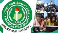 UTME 2025: How to check your results via JAMB website or SMS