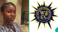 WAEC results 2025: Girl displays her WASSCE result with A1 in Maths, gets lowest grade in English