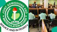 Full breakdown: JAMB releases results of 85 underage candidates for exceptional admission