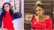 This is clout and arrant nonsense: BBNaija's Thelma reacts to video of Boma and Tega getting intimate