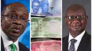 Naira Scarcity: "CBN Should Have Introduced 5000 Naira Notes Instead," Says NACCIMA DG, Gives Reasons