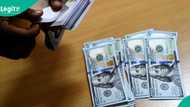 Expert predicts new exchange rate as naira appreciates against US dollar