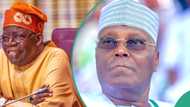 CSU certificate battle: Tinubu files fresh appeal against Atiku in US court