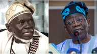 Just in: Labour Party factional chairman gives condition to meet with Tinubu