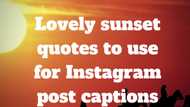 Beautiful sunset quotes worth sharing on social media