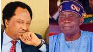 Shehu Sani Ya Fadawa Tinubu Manyan Abubuwa 2 Da Ya Kamata Ya Guji Aikatawa a Gwamnatinsa