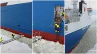 He's very brave: Moment man jumped on moving ship using ladder, short video amazes many
