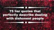 75 liar quotes that perfectly describe dealing with dishonest people