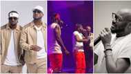 “We are the OGs”: Peter of Psquare brags as 2Baba joins them on stage during Lagos show, video trends