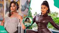 Etinosa Idemudia fires back as Phyna names her next boxing opponent after beating Nkechi Blessing