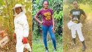"My father died after licking fake": Smart Nigerian lady begins extraction of original honey for sale