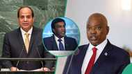 Nigeria missing as IMF names top 10 richest countries in Africa in 2024
