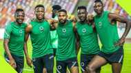 Portuguese coach excludes Super Eagles striker from 2024-25 English Premier League squad