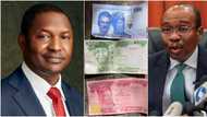 Naira Redesign: “Malami Is a Public Enemy Like Emefiele,” Says Tinubu's Campaign Spokesperson