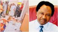 Real reason why gunmen attack Catholic Church in Owo, Shehu Sani reveals