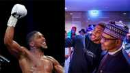 Shugaba Buhari ya taya Anthony Joshua murnar lashe wasan dambe da yayi a kan Pulev