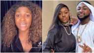 Davido did nothing wrong to Chioma, what was she expecting? He is national cake - Blessing CEO says