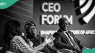 What Nigerians should expect if I win second term - Tinubu