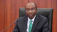 Godwin Emefiele: Tick the box (the economy) by Monsuru Arilesere