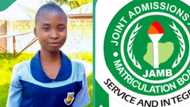 JAMB: 16-year-old girl from Benue trends over her high UTME score, people say she is the highest