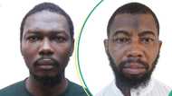 US reacts as Nigeria arrests 2 globally wanted terrorist leaders