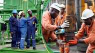 Nigerian oil companies with highest profits in 9 months, Seplat leads