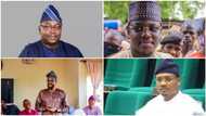 2023 elections: Full list of top Nigerian political figures whose children were defeated