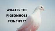 What is the pigeonhole principle? - Definition, examples, and proof explained