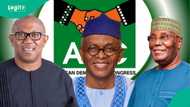 2027 election: Peter Obi speaks on decision of opposition leaders to adopt ADC, "not made lightly"