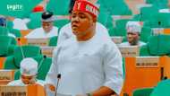 Reps spokesperson who dumped APC for LP clinches ticket after massive primary win