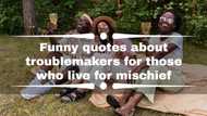 Funny quotes about troublemakers for those who live for mischief