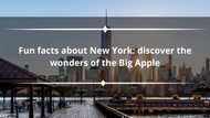 15 fun facts about New York: discover the wonders of the Big Apple