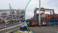 Terminal operator records surge in exports at Apapa Port, the highest in 20 years