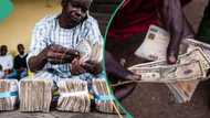 British pound, euro crashes as Naira gains in black market, BDCs give new exchange rate