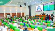 Reps grill Tinubu's top minister, reasons, other details emerge